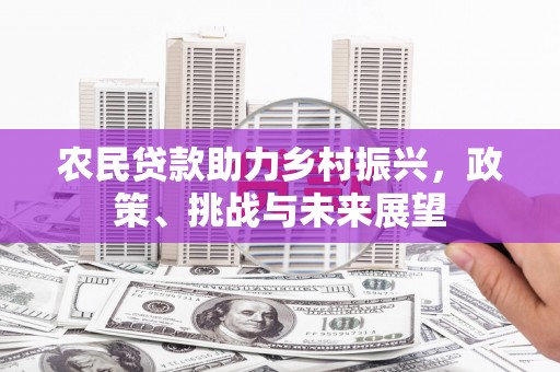 嵊州农民贷款助力乡村振兴，政策、挑战与未来展望
