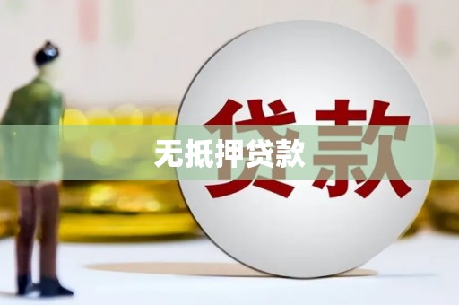 环县无抵押贷款