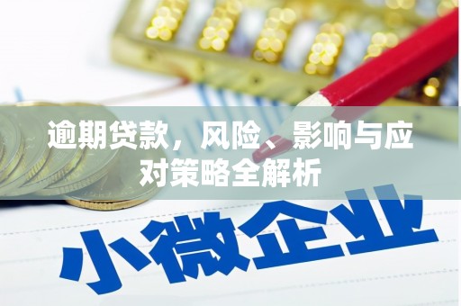 达拉特旗逾期贷款，风险、影响与应对策略全解析