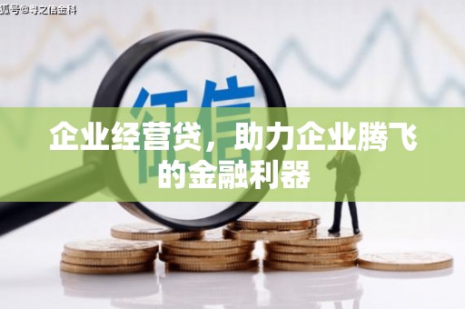 盐湖企业经营贷，助力企业腾飞的金融利器