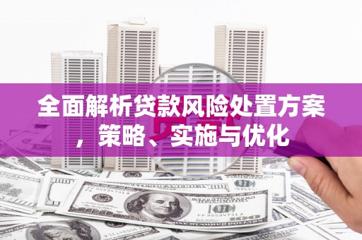 新兴全面解析贷款风险处置方案，策略、实施与优化