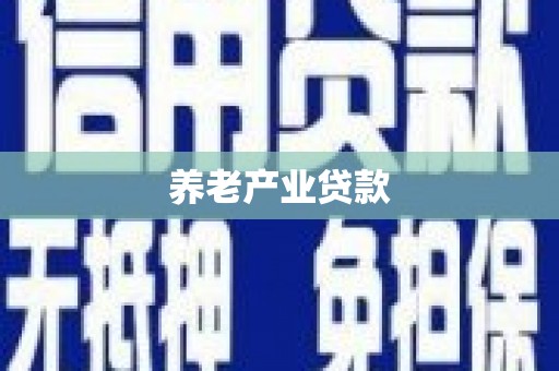 昌宁养老产业贷款