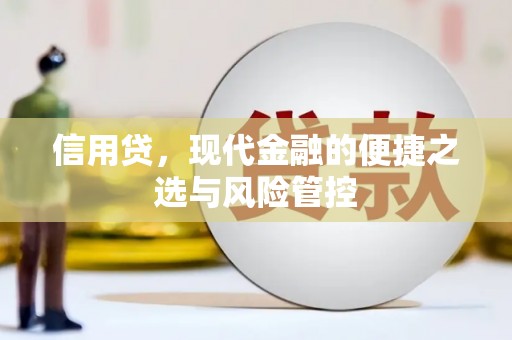 临澧信用贷，现代金融的便捷之选与风险管控