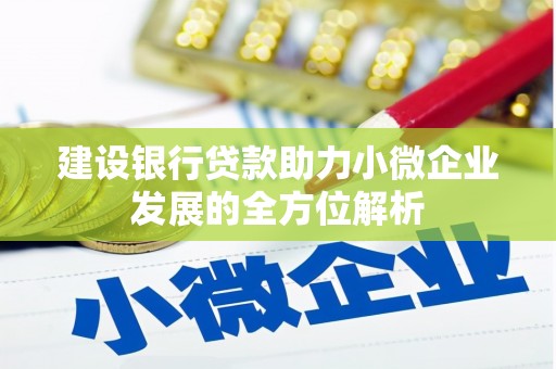 通山建设银行贷款助力小微企业发展的全方位解析