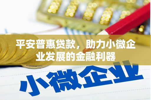 罗城平安普惠贷款，助力小微企业发展的金融利器