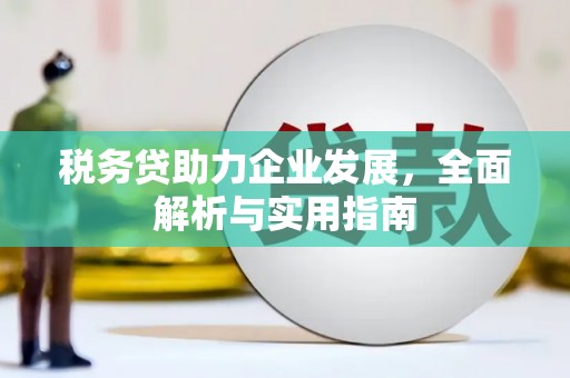 阳高税务贷助力企业发展，全面解析与实用指南