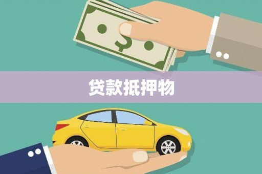 贡觉贷款抵押物