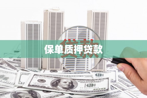 埇桥保单质押贷款
