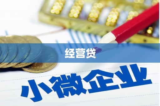 田家庵经营贷