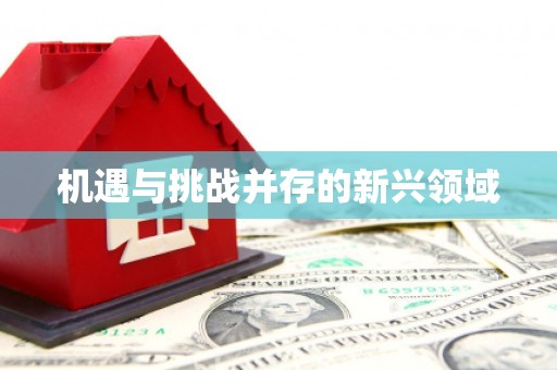 大宁机遇与挑战并存的新兴领域