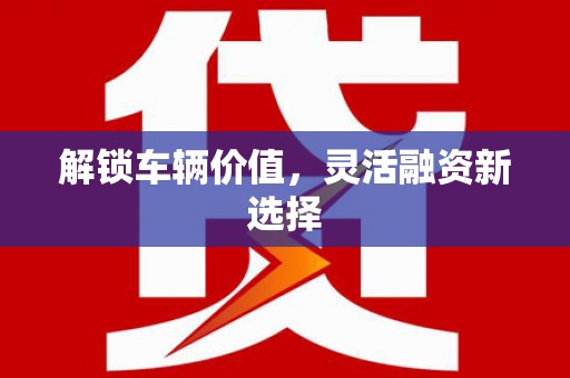 龙崎解锁车辆价值，灵活融资新选择
