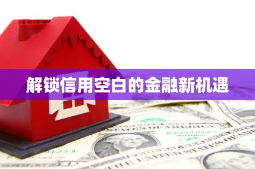 无极解锁信用空白的金融新机遇