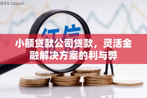 法库小额贷款公司贷款，灵活金融解决方案的利与弊